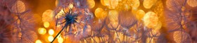 Кухонный фартук Мерцание Одуванчики золотистые 3 серебро в Кемерово - kemerovo.katalogmebeli.com | фото